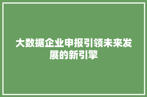 大数据企业申报引领未来发展的新引擎  第1张