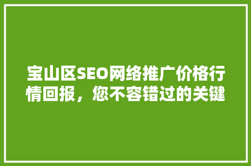 宝山区SEO网络推广价格行情回报，您不容错过的关键信息