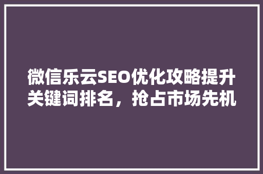 微信乐云SEO优化攻略提升关键词排名，抢占市场先机