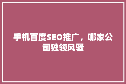 手机百度SEO推广，哪家公司独领风骚