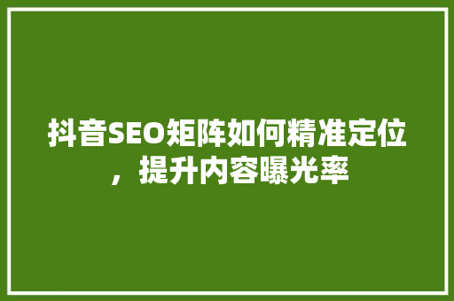 抖音SEO矩阵如何精准定位，提升内容曝光率