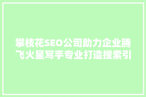攀枝花SEO公司助力企业腾飞火星写手专业打造搜索引擎优化步骤