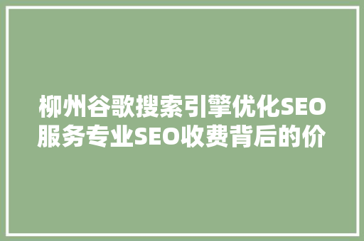 柳州谷歌搜索引擎优化SEO服务专业SEO收费背后的价值与步骤