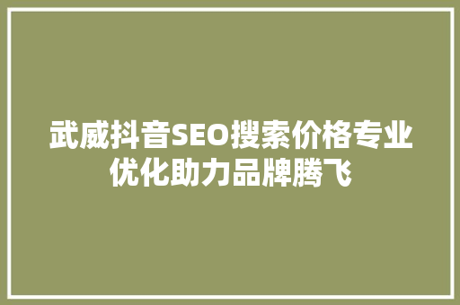 武威抖音SEO搜索价格专业优化助力品牌腾飞