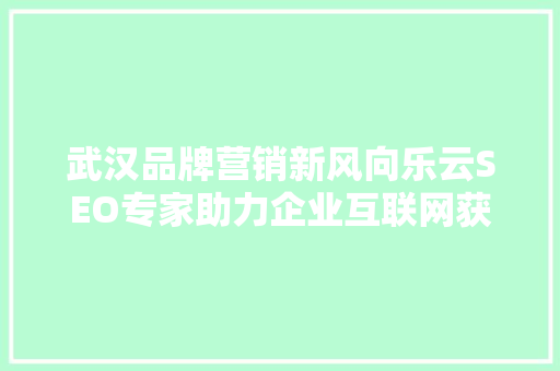 武汉品牌营销新风向乐云SEO专家助力企业互联网获客