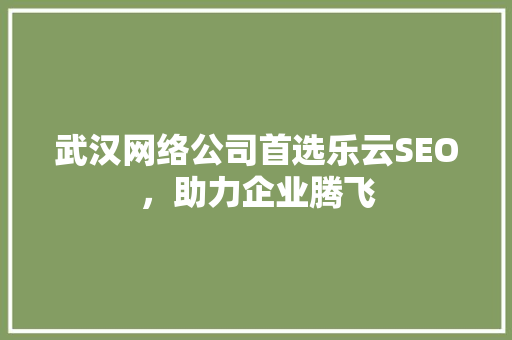 武汉网络公司首选乐云SEO，助力企业腾飞