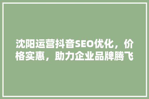 沈阳运营抖音SEO优化，价格实惠，助力企业品牌腾飞