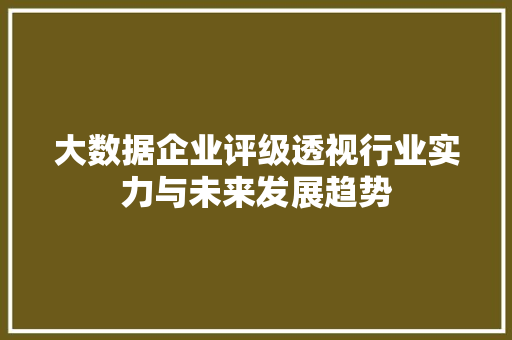 大数据企业评级透视行业实力与未来发展趋势