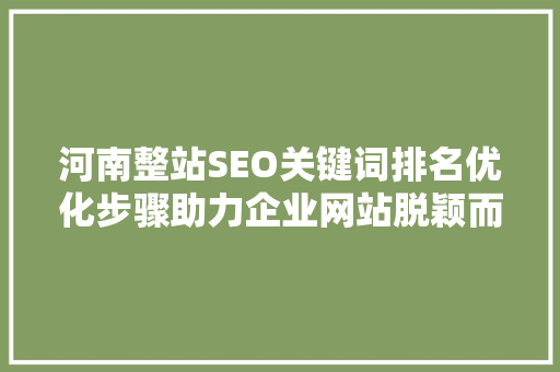 河南整站SEO关键词排名优化步骤助力企业网站脱颖而出  第1张