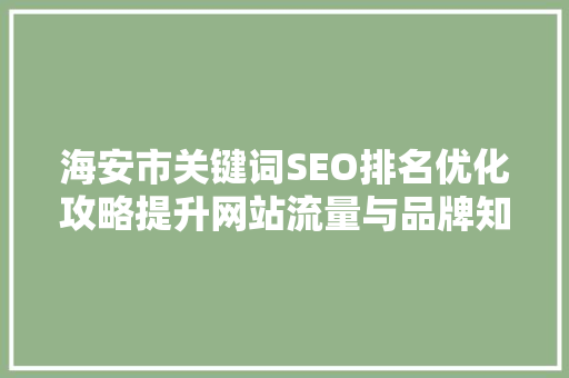 海安市关键词SEO排名优化攻略提升网站流量与品牌知名度