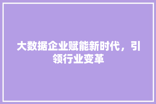 大数据企业赋能新时代，引领行业变革