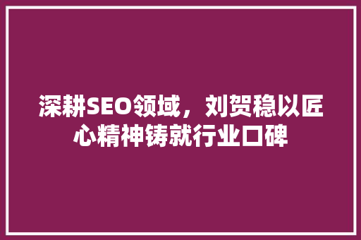 深耕SEO领域，刘贺稳以匠心精神铸就行业口碑