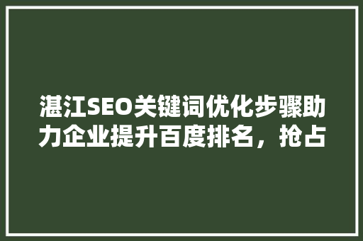 湛江SEO关键词优化步骤助力企业提升百度排名，抢占市场份额