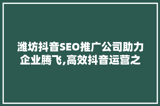 潍坊抖音SEO推广公司助力企业腾飞,高效抖音运营之路
