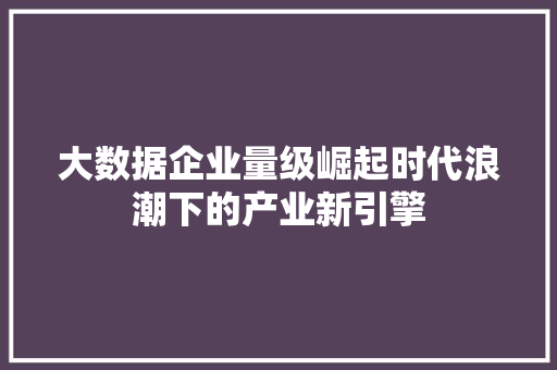 大数据企业量级崛起时代浪潮下的产业新引擎