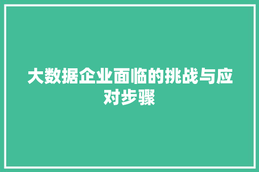 大数据企业面临的挑战与应对步骤