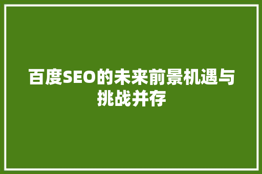 百度SEO的未来前景机遇与挑战并存