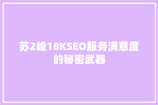 苏2峰18KSEO服务满意度的秘密武器