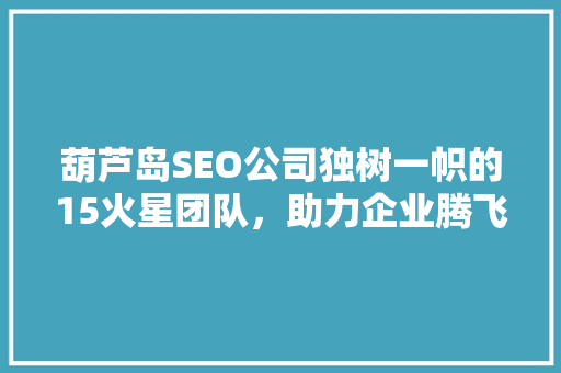 葫芦岛SEO公司独树一帜的15火星团队，助力企业腾飞