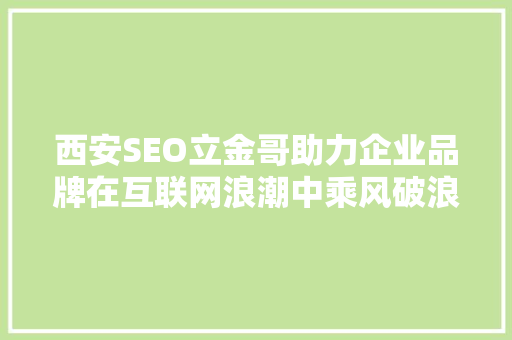 西安SEO立金哥助力企业品牌在互联网浪潮中乘风破浪