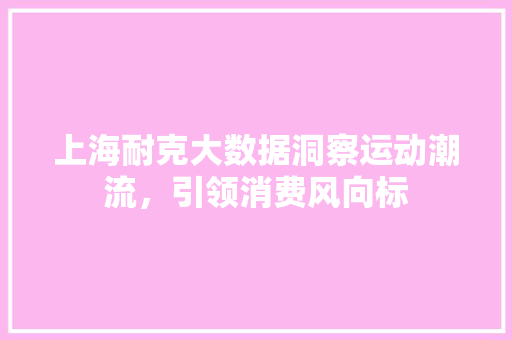 上海耐克大数据洞察运动潮流，引领消费风向标