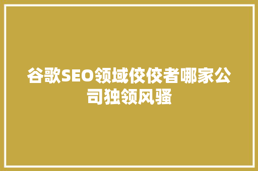 谷歌SEO领域佼佼者哪家公司独领风骚