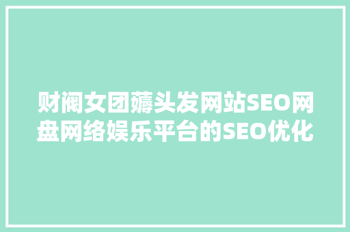 财阀女团薅头发网站SEO网盘网络娱乐平台的SEO优化之路