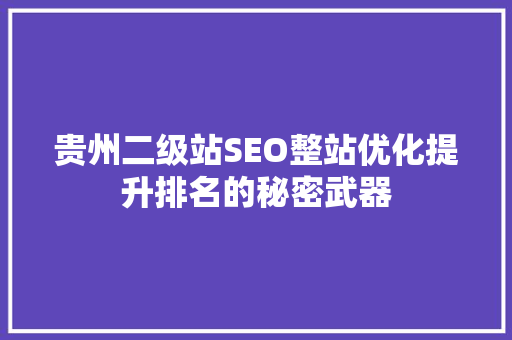 贵州二级站SEO整站优化提升排名的秘密武器