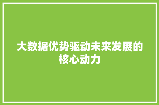 大数据优势驱动未来发展的核心动力