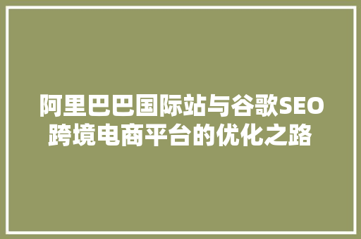 阿里巴巴国际站与谷歌SEO跨境电商平台的优化之路