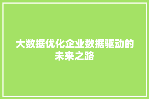 大数据优化企业数据驱动的未来之路  第1张