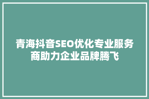 青海抖音SEO优化专业服务商助力企业品牌腾飞