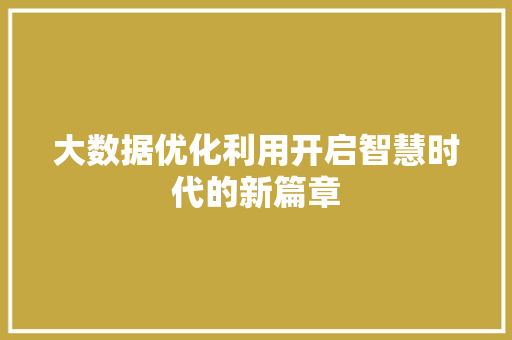 大数据优化利用开启智慧时代的新篇章