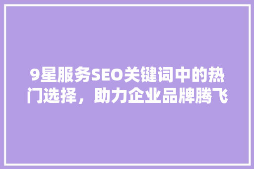 9星服务SEO关键词中的热门选择，助力企业品牌腾飞