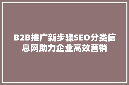 B2B推广新步骤SEO分类信息网助力企业高效营销