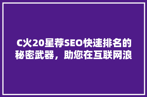 C火20星荐SEO快速排名的秘密武器，助您在互联网浪潮中脱颖而出