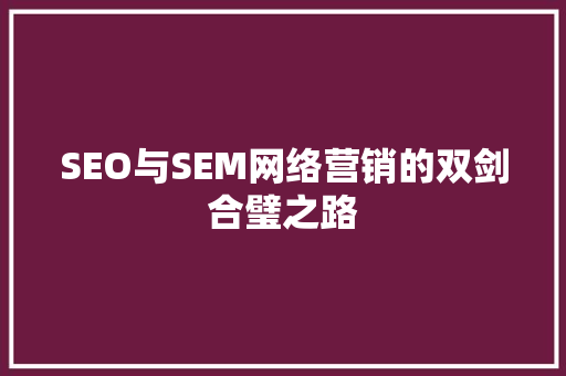 SEO与SEM网络营销的双剑合璧之路