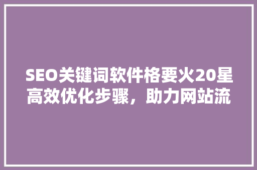 SEO关键词软件格要火20星高效优化步骤，助力网站流量飙升