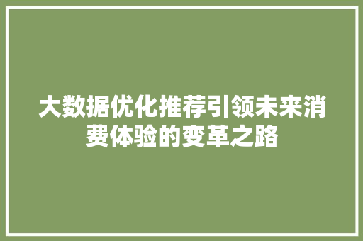 大数据优化推荐引领未来消费体验的变革之路  第1张