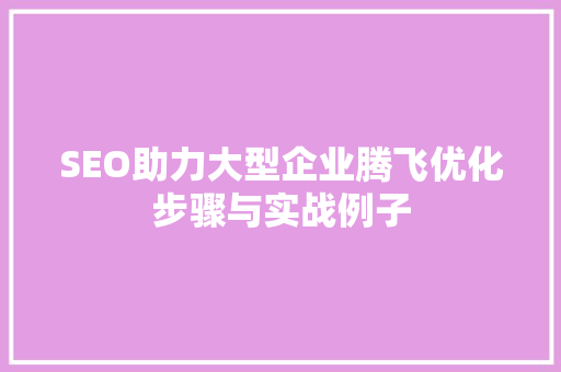 SEO助力大型企业腾飞优化步骤与实战例子