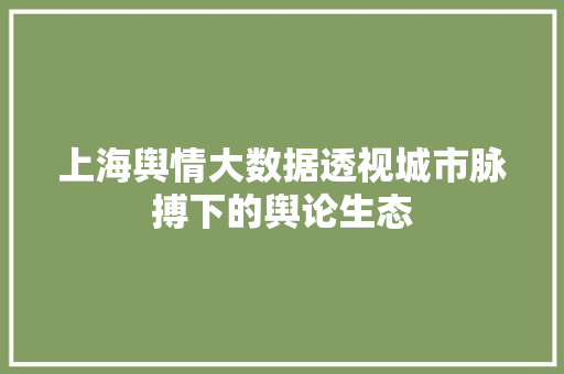 上海舆情大数据透视城市脉搏下的舆论生态