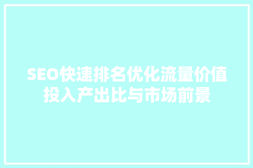 SEO快速排名优化流量价值投入产出比与市场前景