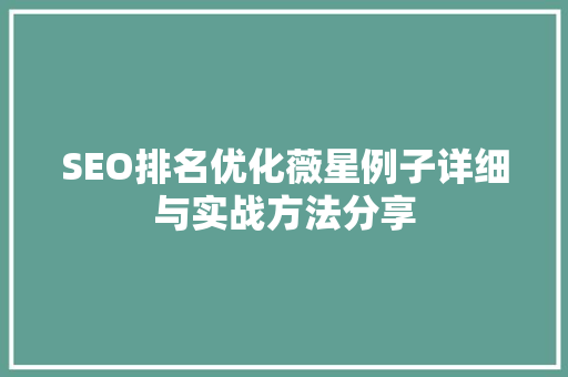 SEO排名优化薇星例子详细与实战方法分享