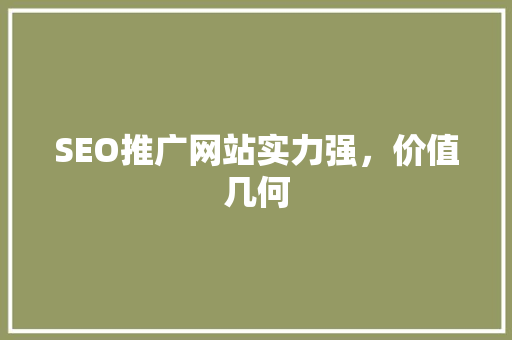 SEO推广网站实力强，价值几何