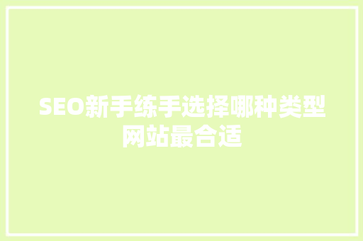 SEO新手练手选择哪种类型网站最合适