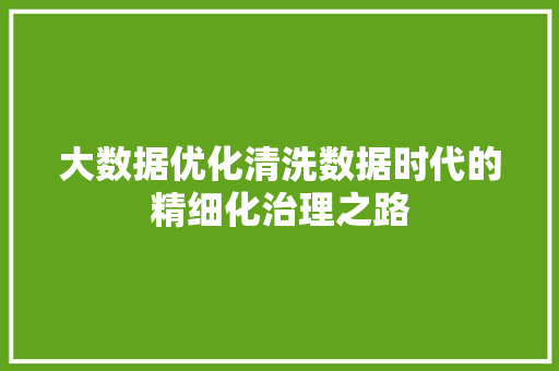 大数据优化清洗数据时代的精细化治理之路  第1张