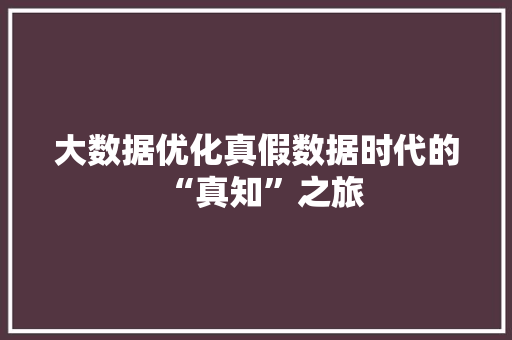大数据优化真假数据时代的“真知”之旅