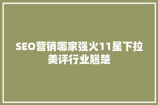 SEO营销哪家强火11星下拉美评行业翘楚
