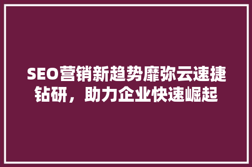 SEO营销新趋势靡弥云速捷钻研，助力企业快速崛起