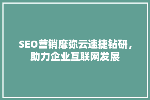 SEO营销靡弥云速捷钻研，助力企业互联网发展